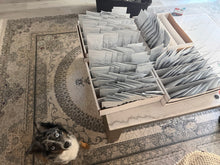 Load image into Gallery viewer, LUCA'S LOOT BAG (VOLUME 2 30th ANNIVERSARY EDITION MYSTERY BUNDLE) x1